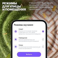 Яндекс Станция Стрит (зеленый) Image #13