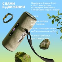 Яндекс Станция Стрит (зеленый) Image #9