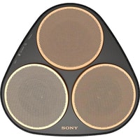 Sony SRS-RA5000 Image #8