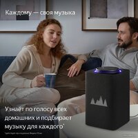 Яндекс Станция Макс (с хабом умного дома Zigbee, графит) Image #8