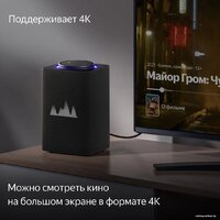 Яндекс Станция Макс (с хабом умного дома Zigbee, графит) Image #5