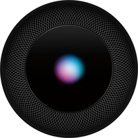 Apple HomePod (серый космос) Image #2