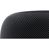 Apple HomePod (серый космос) Image #3