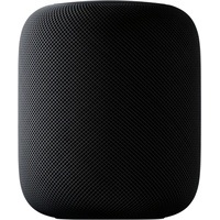 Apple HomePod (серый космос) Image #1