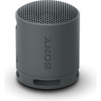 Sony XB100 (черный)