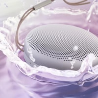 Bang & Olufsen Beosound A1 2nd Gen (северный лед) Image #6