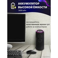 Aiwa PAS-H200 (черный) Image #11