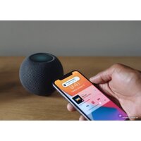 Apple HomePod Mini (полуночный) Image #4