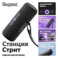 Яндекс Станция Стрит (черный) Image #6
