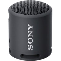 Sony SRS-XB13 (черный)