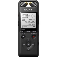 Sony PCM-A10