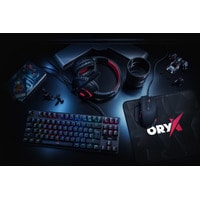 Niceboy Oryx X300 Image #3