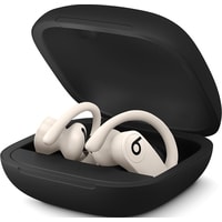 Beats Powerbeats Pro (слоновая кость) Image #5