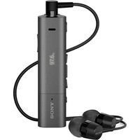 Sony SBH54 (черный/серый)