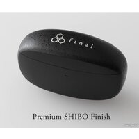 Final Audio Design ZE3000 (черный) Image #6