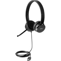 Lenovo 100 Stereo USB Headset Image #1