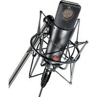 Neumann TLM 193 Image #1