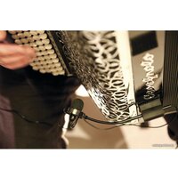 Prodipe AL21 Romanelli Accordion Image #3