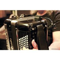 Prodipe AL21 Romanelli Accordion Image #6
