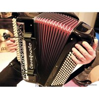 Prodipe AL21 Romanelli Accordion Image #5