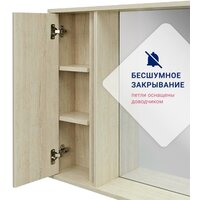 Doratiz Шкаф с зеркалом Мальта 70 L 2711.154 (пикар) Image #12