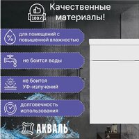 Акваль Тумба под умывальник Калипсо АК.50.25.10.N Image #5
