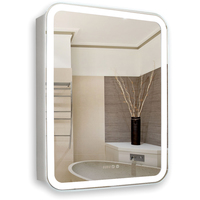 Silver Mirrors Шкаф с зеркалом Фиджи 60x80 LED-00002363