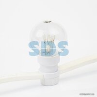 Neon-Night Belt Light [331-301] Image #7