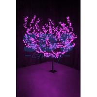 Neon-Night Сакура (диаметр кроны 180 см, фиолетовый) [531-106] Image #1