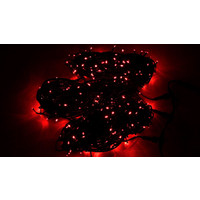 Neon-Night LED ClipLight 3 нити по 20 метров [323-302] Image #2
