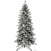 Winter Time KU07-1167TS 2.1 м