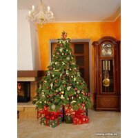 National Tree Company Эверест ЭВ-210 (210 см) Image #5