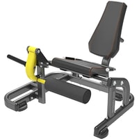 Bronze Gym PL-1711