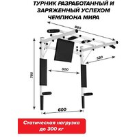 Absolute Champion Железное тело 3 в 1 АЧ 11656 (белый, черные ручки) Image #12