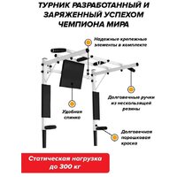 Absolute Champion Железное тело 3 в 1 АЧ 11656 (белый, черные ручки) Image #7