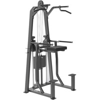 DHZ Fitness Evost E3009 (стек 88 кг)