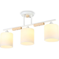 Ambrella light Traditional TR9546
