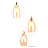 Ambrella light TR3549/3 GD/TI (золото/янтарь) Image #3
