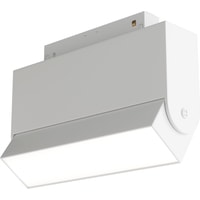 Maytoni TR013-2-10W4K-W
