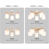 Ambrella light TR83118/5 WH/LW Image #6