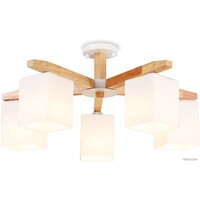 Ambrella light TR83118/5 WH/LW Image #2