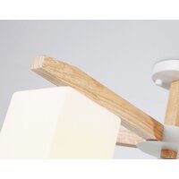 Ambrella light TR83118/5 WH/LW Image #4