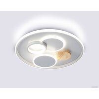 Ambrella light FL4803 GR Image #1