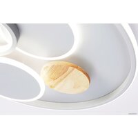 Ambrella light FL4803 GR Image #7