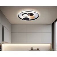 Ambrella light FL4803 GR Image #9