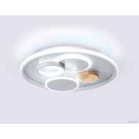 Ambrella light FL4803 GR Image #5