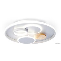 Ambrella light FL4803 GR Image #2
