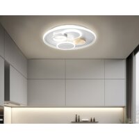 Ambrella light FL4803 GR Image #8