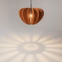 Maytoni Cambio MOD398PL-01BR Image #3