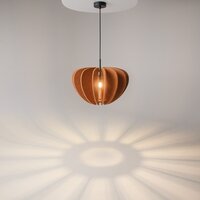 Maytoni Cambio MOD398PL-01BR Image #2